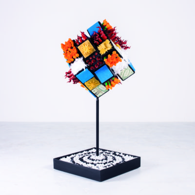 Rubik nella vita by Alter Ego 1
