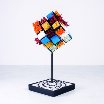 Rubik nella vita by Alter Ego 1