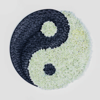Yin Yang. by Alter Ego 1